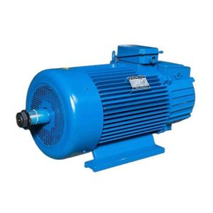 Crane Motor